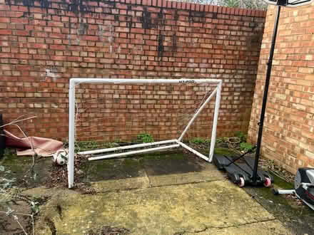 Photo of free Garden stuff (N10 2NL) #1