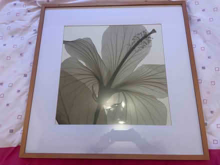 Photo of free 2 pictures (Longbarn WA2) #3