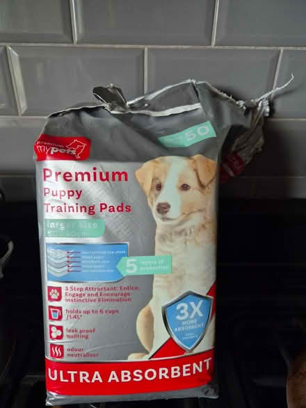 Photo of free Puppy Pads (Annscroft) #1