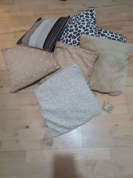 Photo of free Cushions (Gorgie EH11) #1