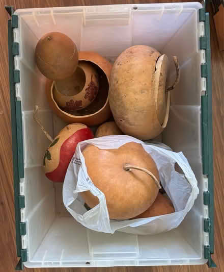 Photo of free Dried bowl gourds (North Fontana) #1
