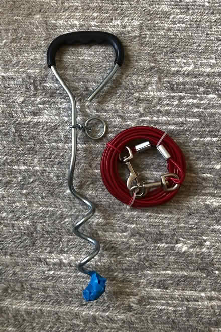 Photo of free Dog tie out (West Cambridge) #1