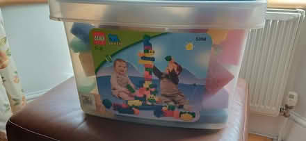 Photo of free Large Diplo bricks (North Holmwood) #2