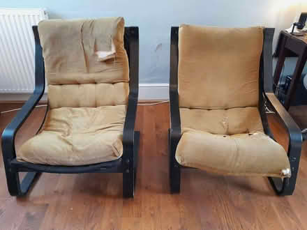 Photo of free 2 x armchairs (Colyford EX24) #3