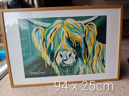 Photo of free Highland Cow Picture (DA1) #1