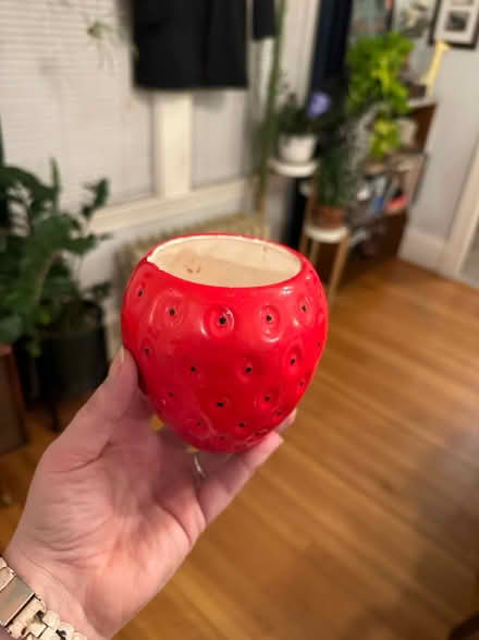 Photo of free Strawberry vessel (Malden) #1