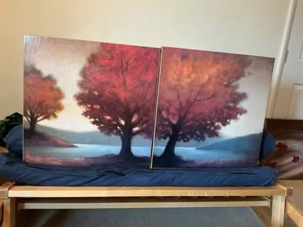 Photo of free Pair of pictures (Cox Green SL6) #1