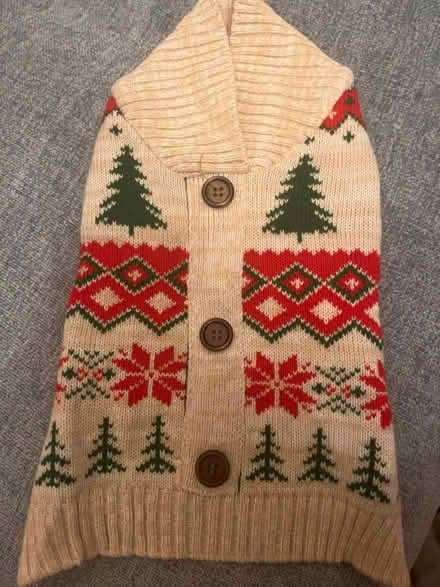 Photo of free Doggy jumper (Caister-on-Sea) #1