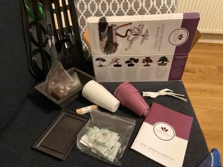 Photo of free Bonsai tree kit (Alcester Lanes End B14) #4