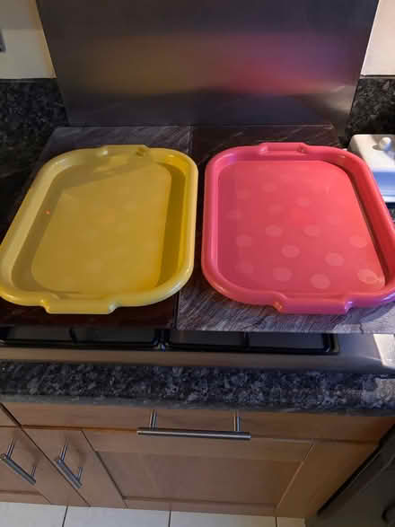 Photo of free 2 plastic trays (Kings Hill ME19) #1
