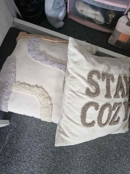 Photo of free Pillows (Canterbury) #1