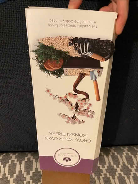 Photo of free Bonsai tree kit (Alcester Lanes End B14) #1