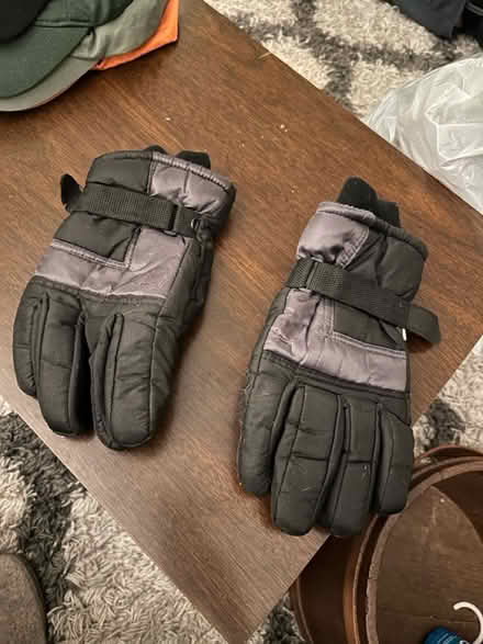 Photo of free Waterproof gloves (Malden) #1