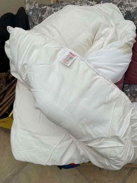 Photo of free single douvet (Garthmyl SY15) #1