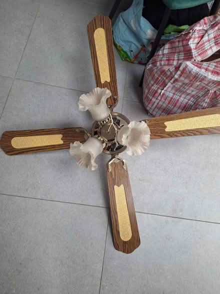 Photo of free Ceiling fan (CR5 old coulsdon) #1