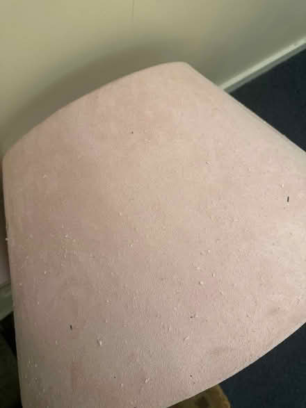 Photo of free Pink christmas tree skirt (Plaistow E13) #3