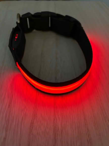 Photo of free Light up Dog collar (3 modes) (Jennetts park RG12) #1