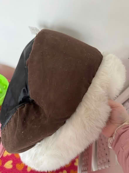 Photo of free Small dog bed (Crawley RH10) #3