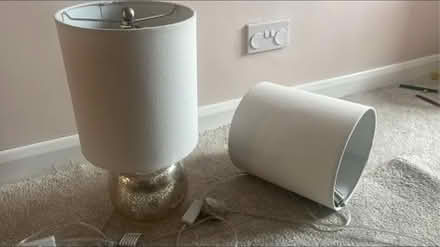 Photo of free Lamp (Ticknall DE73) #1