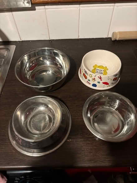 Photo of free 4 dog bowls (Wardley, Gateshead, NE10) #1