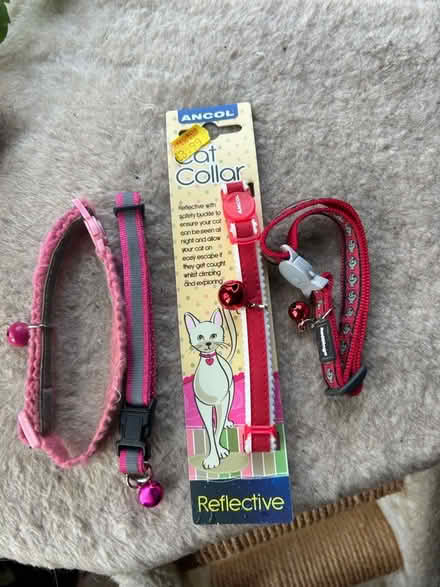 Photo of free 4 x cat collars (Cotham BS6) #1