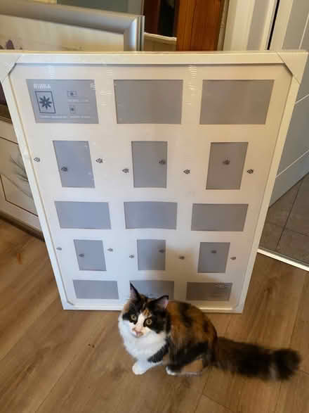 Photo of free Large IKEA frame - multiple photos (Towcester NN12) #1