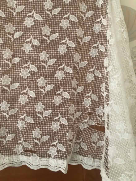 Photo of free Net curtain (AB16) #2