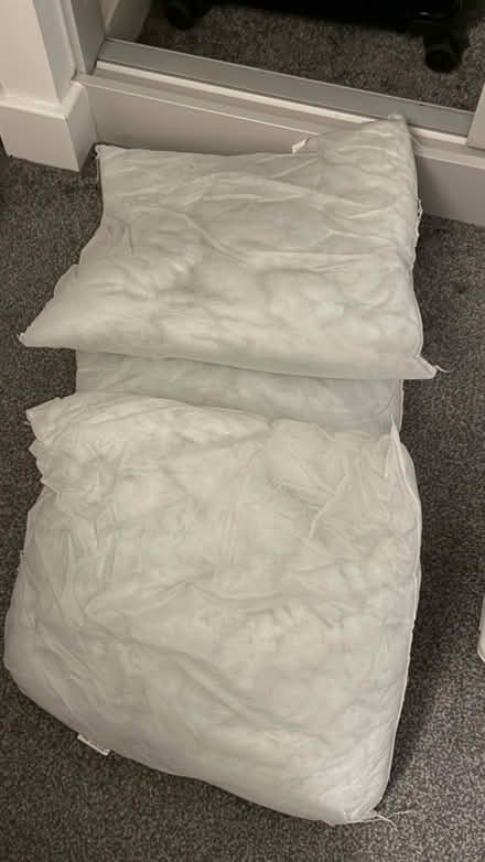 Photo of free cushion inserts from amazon (The Exchange LS12) #1