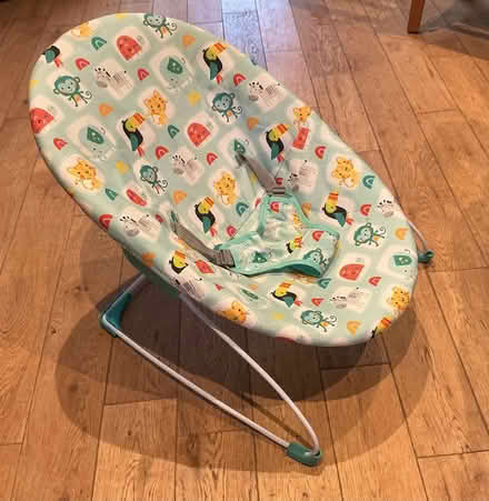 Photo of free Baby bouncy chair (Yarnton OX5) #2