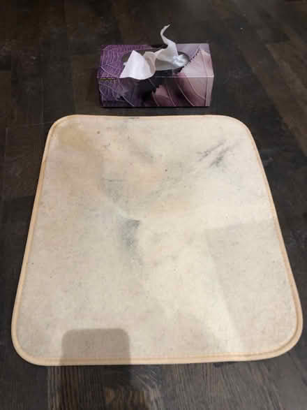 Photo of free Large drying mats (Midtown Toronto) #3