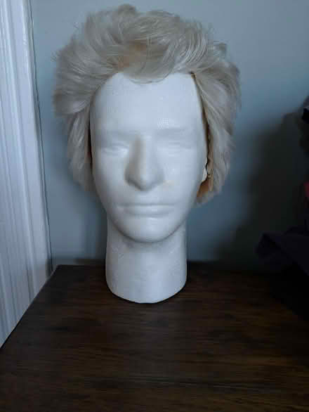 Photo of free Wig (Cabbagetown) #1