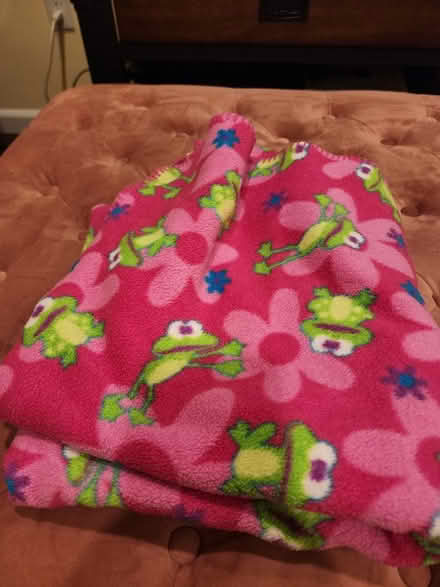 Photo of free Pile (Brookfield Connecticut) #1