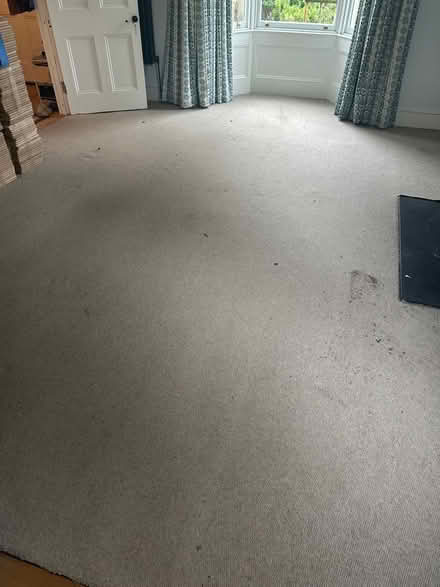 Photo of free Carpet approx 5x4m (Bloomfield) #1