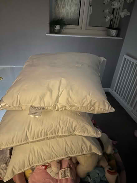 Photo of free 3x New/Unused Pillows 65x65cm (Romford RM1) #1