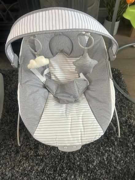 Photo of free Baby bouncy chair (Cold Harbour OX1) #1