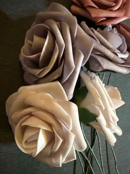 Photo of free Paper roses (Ashford TW15) #2