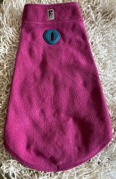 Photo of free Dog pullover (Size 14) (Bloor/ The West Mall) #1