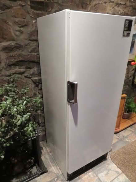 Photo of free Upright freezer (Tayport DD6) #4