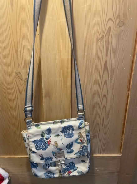 Photo of free North Common area: Cath Kidston Alice in Wonderland bag (The Batch) #1