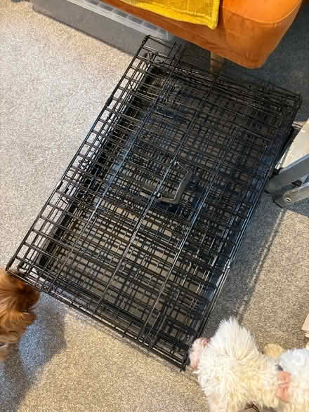 Photo of free Dog/puppy crate (Walkley S6) #1