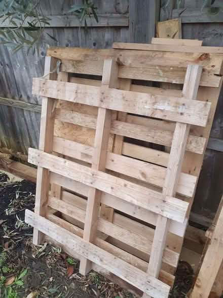 Photo of free Wood palettes to give away (Raynes Park SW20) #2