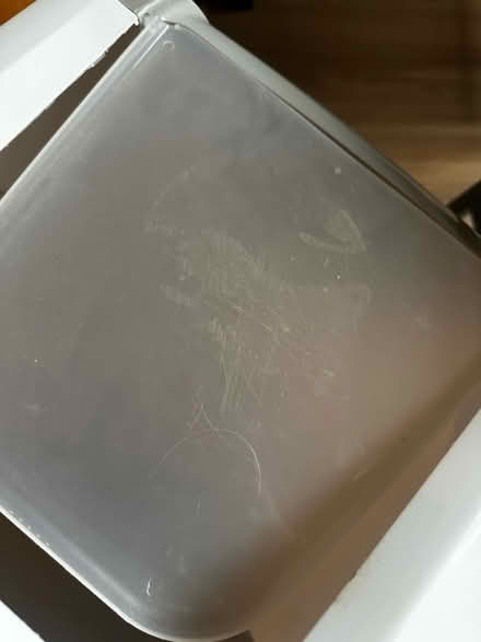 Photo of free Large cat litter box (South Norwood SE25) #3