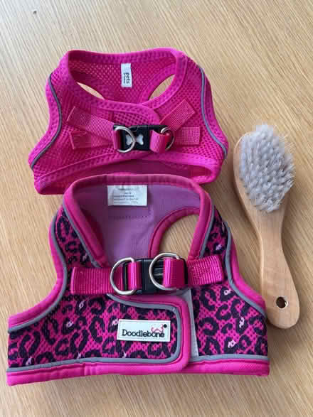 Photo of free Dog harness (AB32) #1