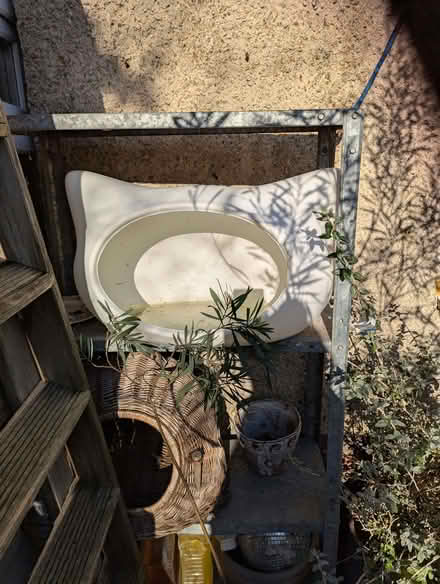 Photo of free Cat head shaped cat bed (Portslade by Sea BN41) #1
