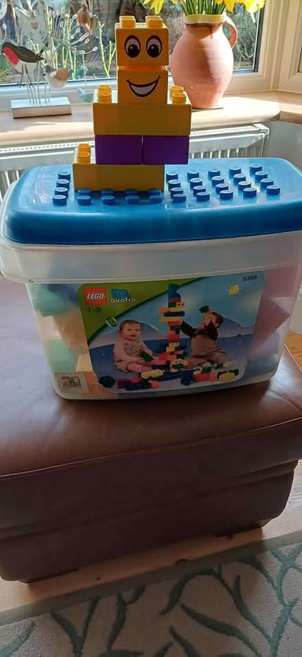 Photo of free Large Diplo bricks (North Holmwood) #1