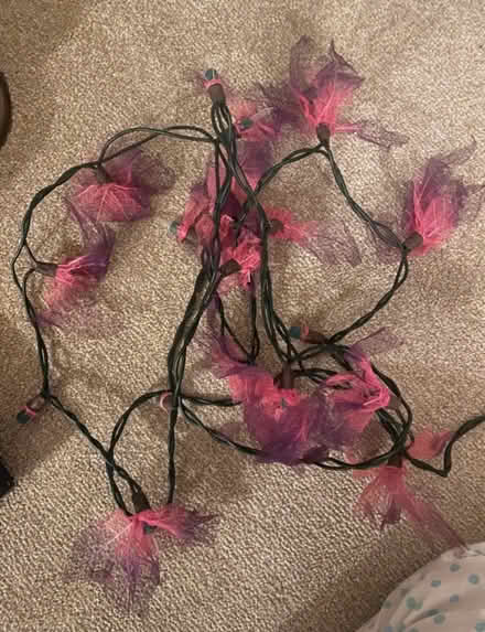 Photo of free Fairy lights (Herne Hill, SE24) #2