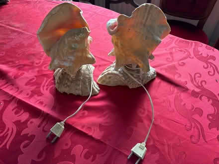Photo of free Sea shell lamp pair (Blackrock) #1
