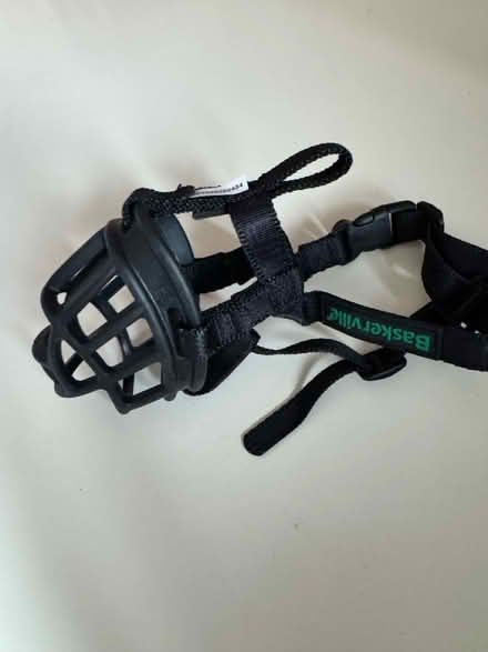 Photo of free Baskerville small dog muzzle (Dawlish Devon EX7) #2