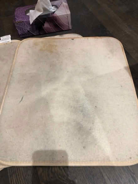 Photo of free Large drying mats (Midtown Toronto) #4