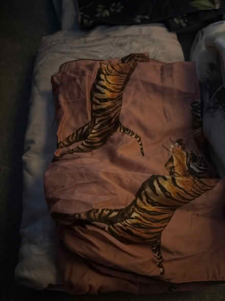 Photo of free Bedroom sets (Wimbledon SW19) #2